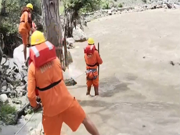 NDRF team during rescue operations in Kullu (Photo: ANI) 