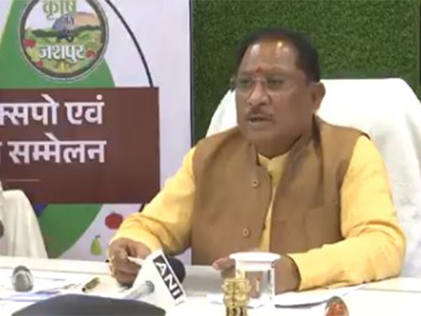  Chhattisgarh Chief Minister Vishnu Deo Sai (Photo/ANI)