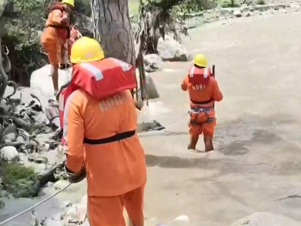 NDRF team conducts search operation in flood affected Raila Bihal in Himachal Pradesh. (Photo/ANI)