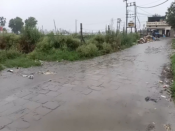 Rain lashes Karnal as IMD forecasts more showers in the region (Photo/ANI)