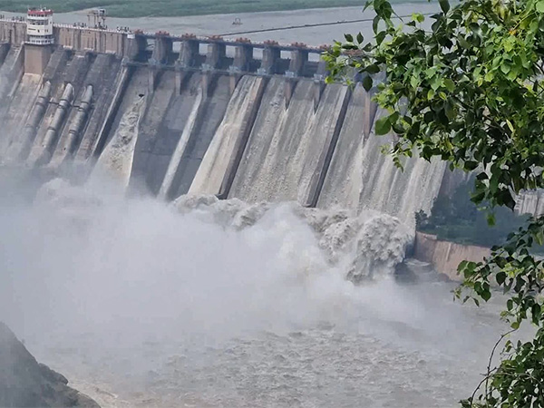 Salal Dam (Photo/ANI)