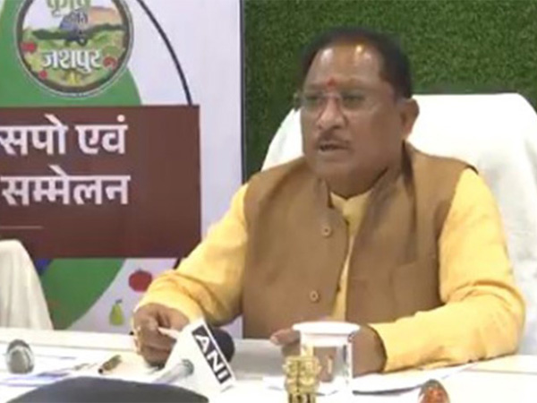 Chhattisgarh Chief Minister Vishnu Deo Sai (Photo/ANI)