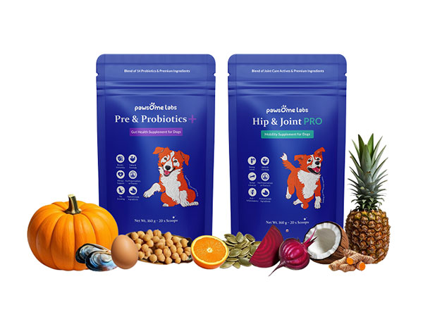 Pawsome Labs is Raising the Bar for Pet Wellness in India