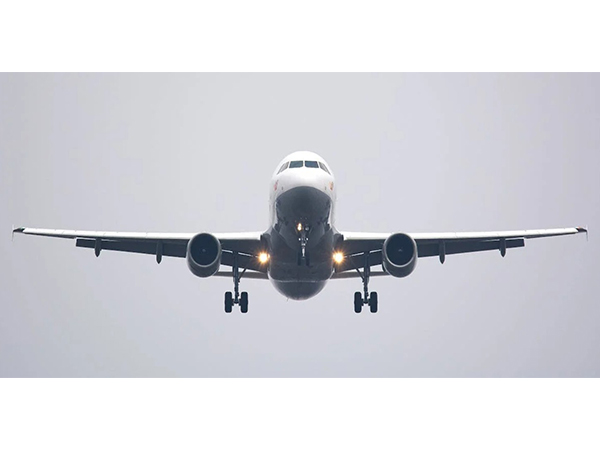 Representational Image (Image/Pexels)