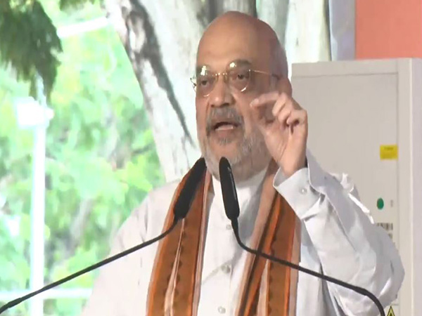 Union Home Minister Amit Shah (Photo/ANI)