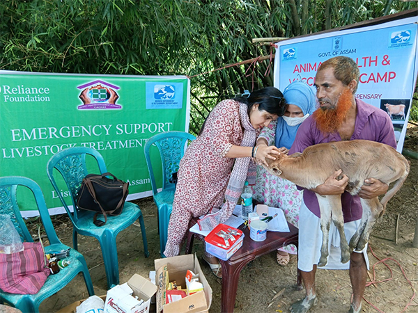  Reliance Foundation staff providing veterinary support in flood hit areas. (Photo/ANI)