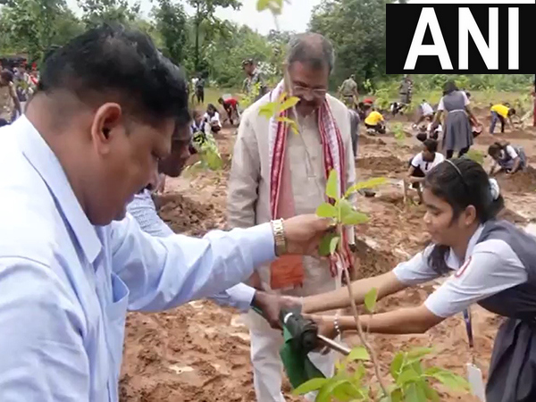 Dharmendra Pradhan participated in a mass plantation drive under 'Ek Ped Maa Ke Naam'. (Photo/ANI)