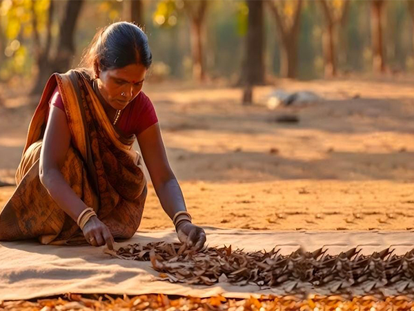Tribal women-led JashPure brand from Chhattisgarh set for national and global markets (Photo/Release)