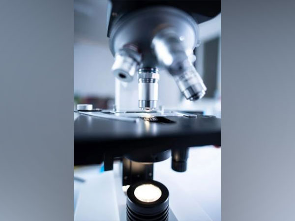 Representataive Image (Image source/pexels) 