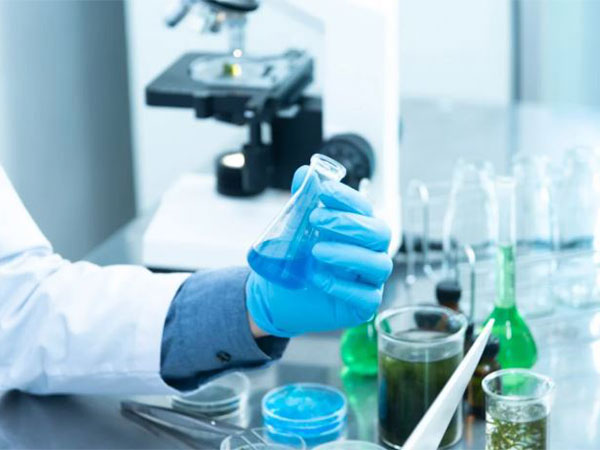 Representative Image (Photo/Pexels)