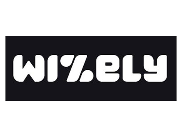 Digital Gold on Wizely: Your Smart Path to Quick Investments