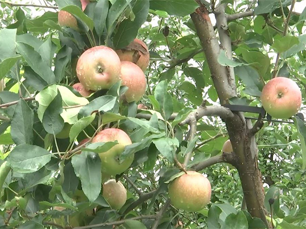 Representative Image Representative Image