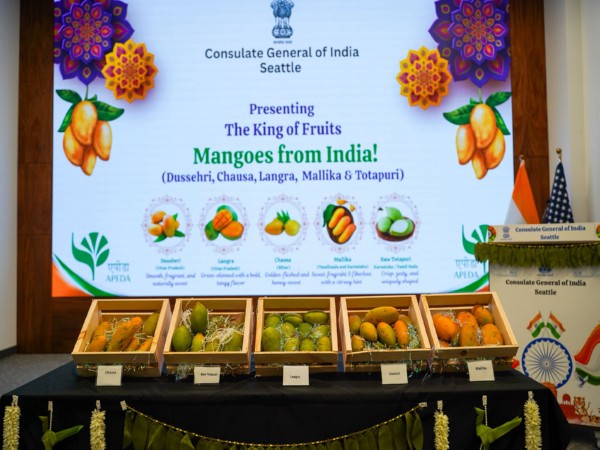Mangoes displayed at the event (Image: X@IndiainSeattle)