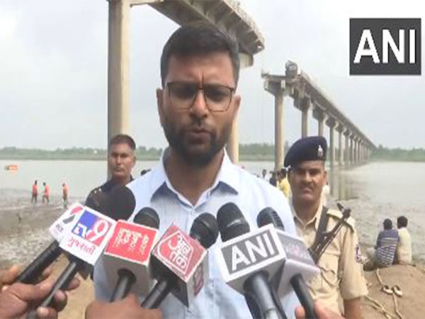 Vadodara Collector Anil Dhameliya (Photo/ANI) Vadodara Collector Anil Dhameliya (Photo/ANI)