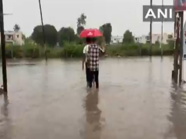 Visuals from Banaskantha, Gujarat (Photo/ANI)