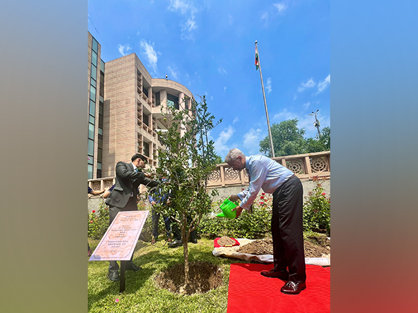 External Affairs Minister S Jaishankar planted a pomegranate sapling at the Indian Embassy in China premises (Image Credit: X/@DrSJaishankar)