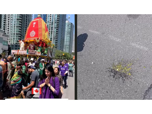 Devotees face egg attack during Ratha Jatra celebrations in Toronto (Image: X/@Naveen_Odisha)