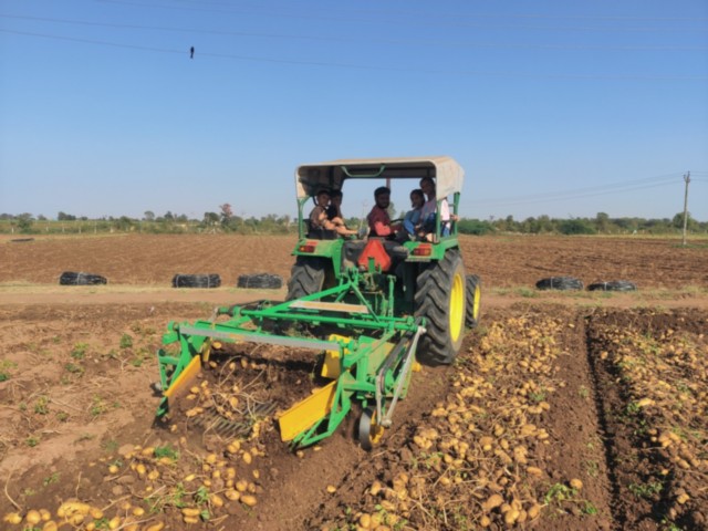 Potato farm in Gujarat (Photo/Gujarat CMO)