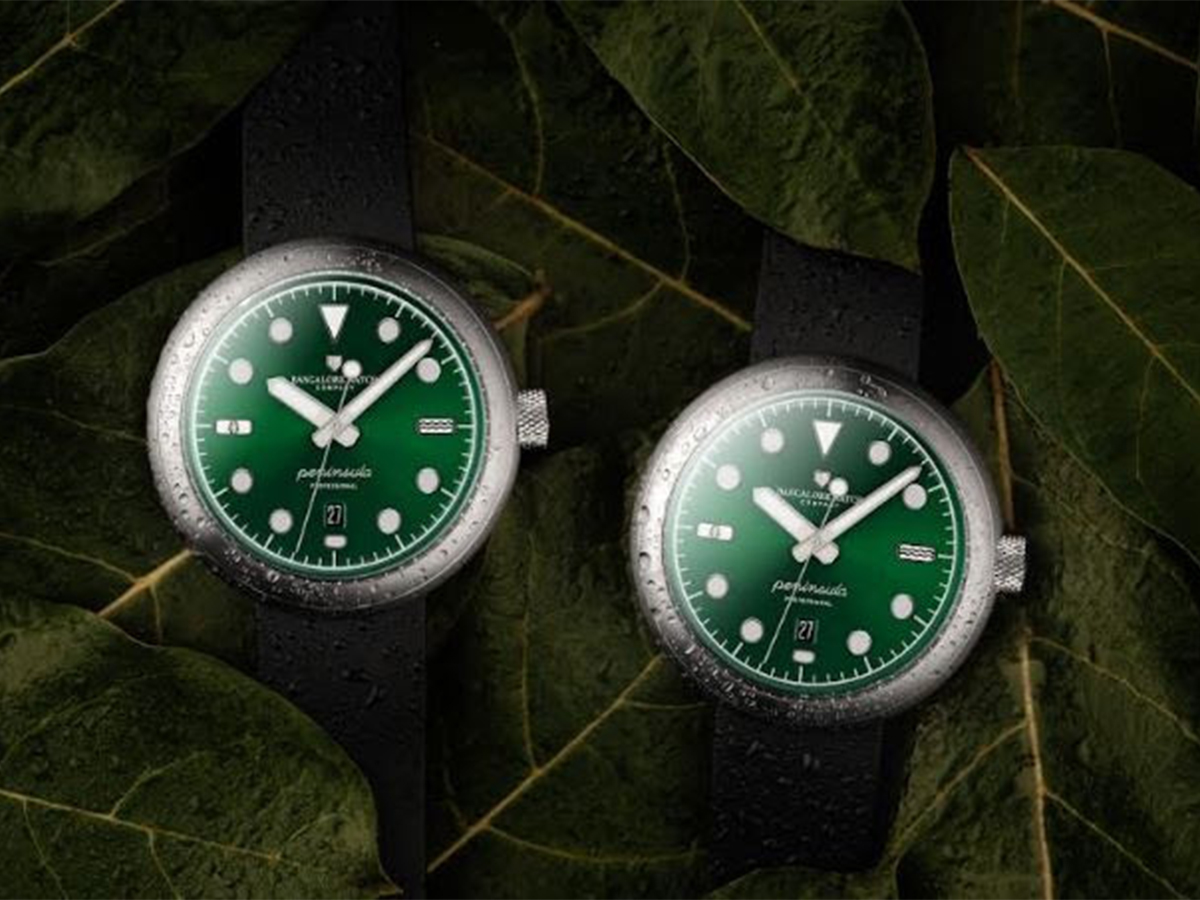 Two watches in Agumbe