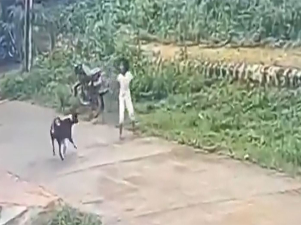 Screegrab of dog attack video posted by BJP (Photo/@BJP4Karnataka)