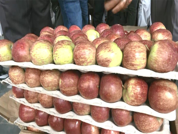 Apples sold in wholesale markets in Himachal Pradesh (Photo/ANI)