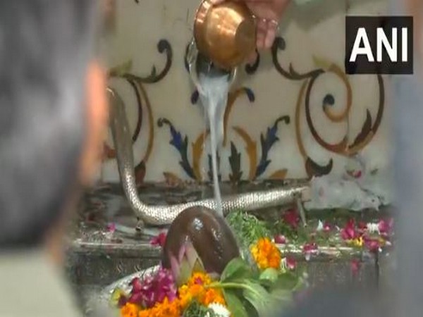Abhishek at Gauri Shankar Temple (Photo/ANI) Abhishek at Gauri Shankar Temple (Photo/ANI)
