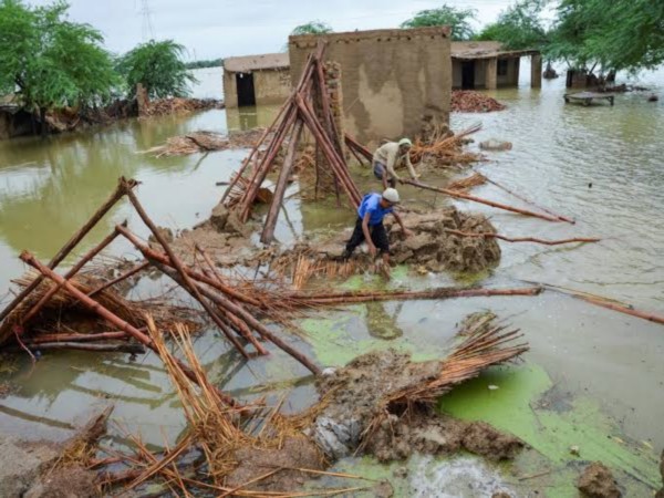 Floods in Pakistan (File Photo/ Reuters)