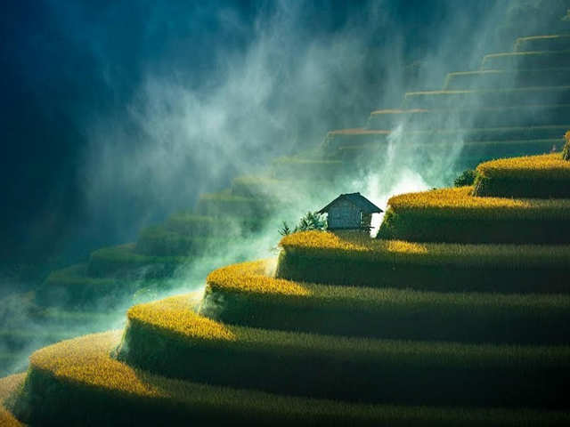 The Grand Prize-winning photograph by Mr. Steven Triet from Vietnam revealing the golden rice terraces of Lao Chai, Mu Cang Chai