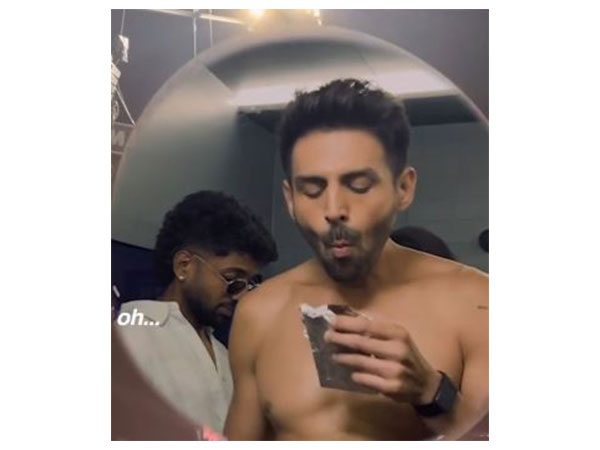 Actor Kartik Aaryan (Image source: Instagram)