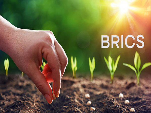Representative Image (Image/BRICS)