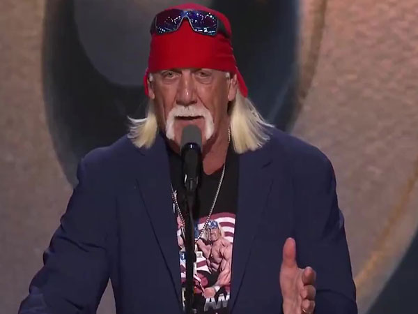 Hulk Hogan (Photo: File image) Hulk Hogan (Photo: File image)