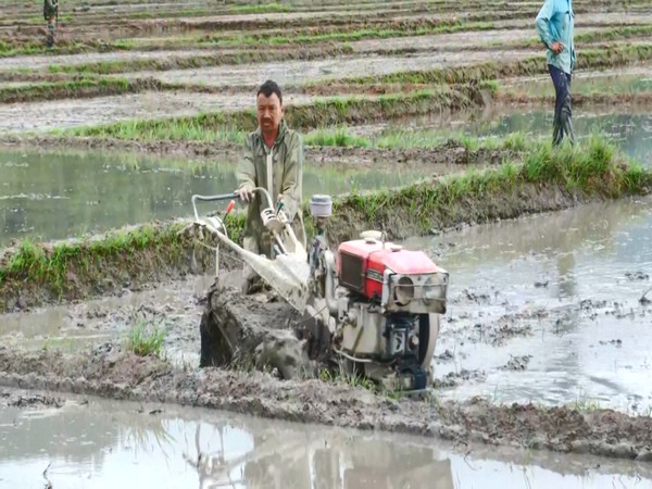 Life restarts in Manipur’s conflict-hit villages through farming (Photo/ANI) 