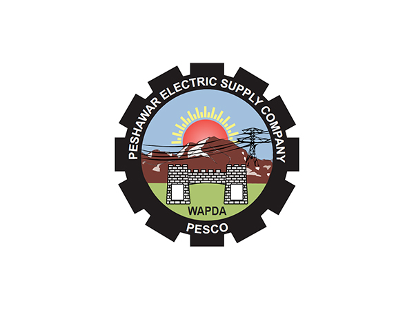 Peshawar Electric Supply Company logo (Photo/ PESCO official website)