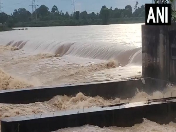 Baitarani river has crossed the danger mark at Akhuapada (Photo/ANI)