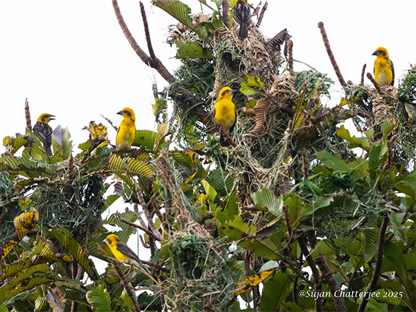 Photo posted on the account of Assam Chief Minister Himanta Biswa Sarma (Photo credit/ X @himantabiswa)