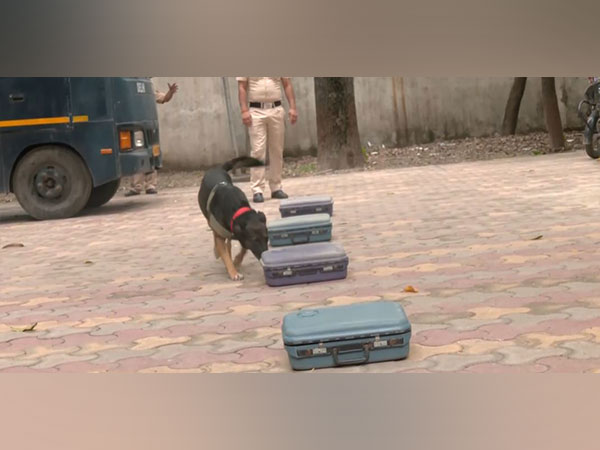 Special training of Delhi Police Dogs squad ahead Independence Day (Photo/ANI)