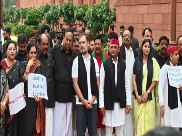 INDIA bloc leaders outside the Parliament on July 23. (File Photo: ANI)