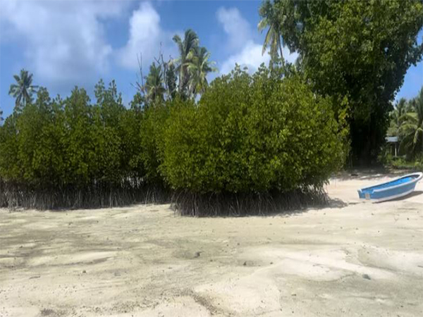 Representative Image (Photo/Reuters)