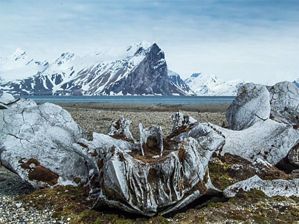 Representative Image (Photo/TV BRICS)