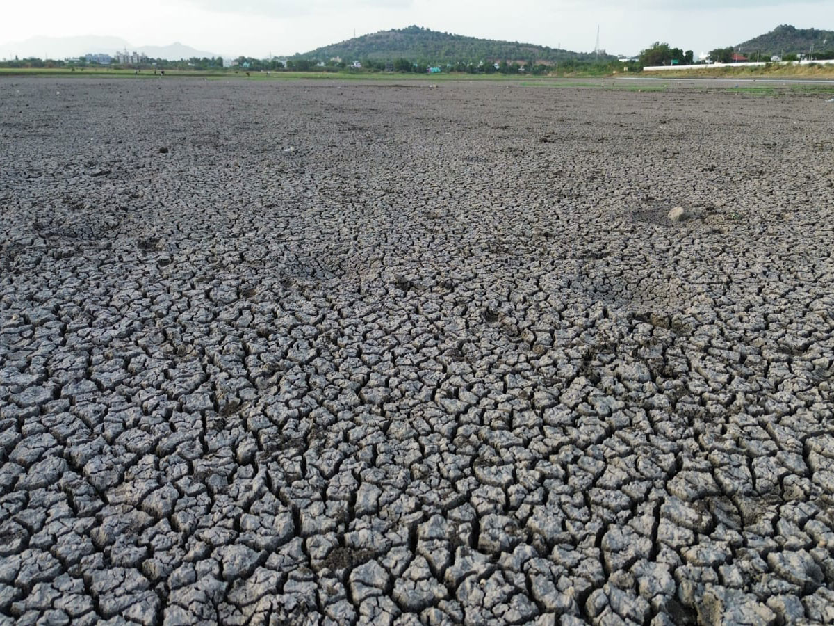 Thirupparankundram’s major irrigation tank, 'Thenkal Kanmai' (Photo/ANI)