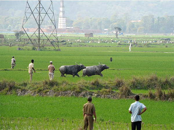Assam Forest department gives compensation to 29 farmers (Photo/ANI)