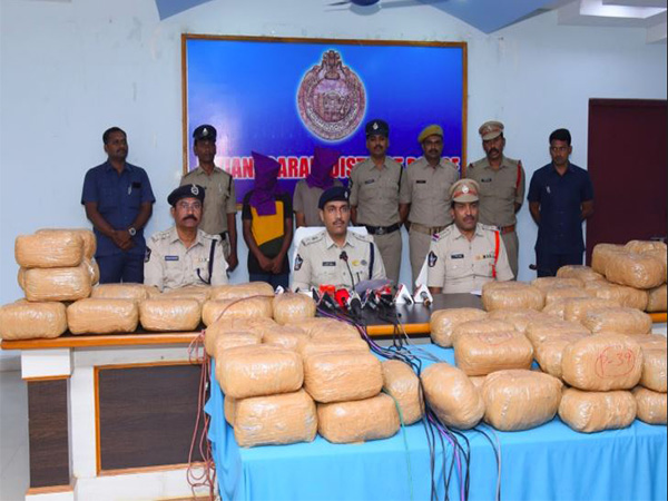 Andhra Police arrest two with 145 kg of ganja in Vizianagaram district (Photo/ANI)
