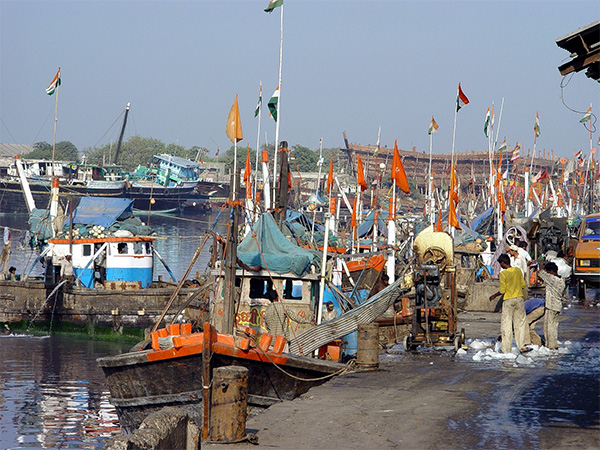 Gujarat gets Rs 50 cr fund under PMMSY (Photo @Gujarat Information PR)