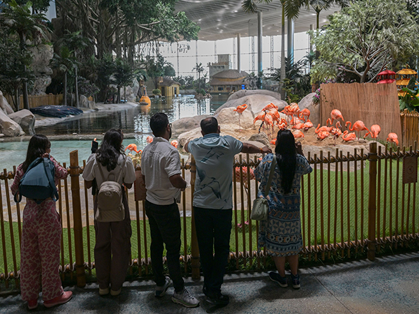 SeaWorld Abu Dhabi enriches marine knowledge, entertainment (Photo/ WAM)