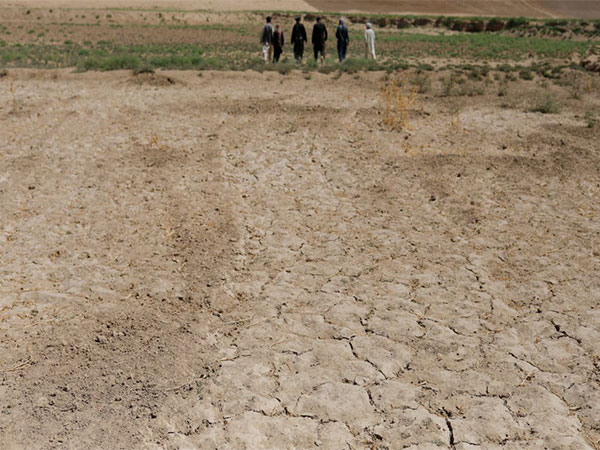 A parched field with cracked soil in Balkh province, Afghanistan (File Photo/Reuters)