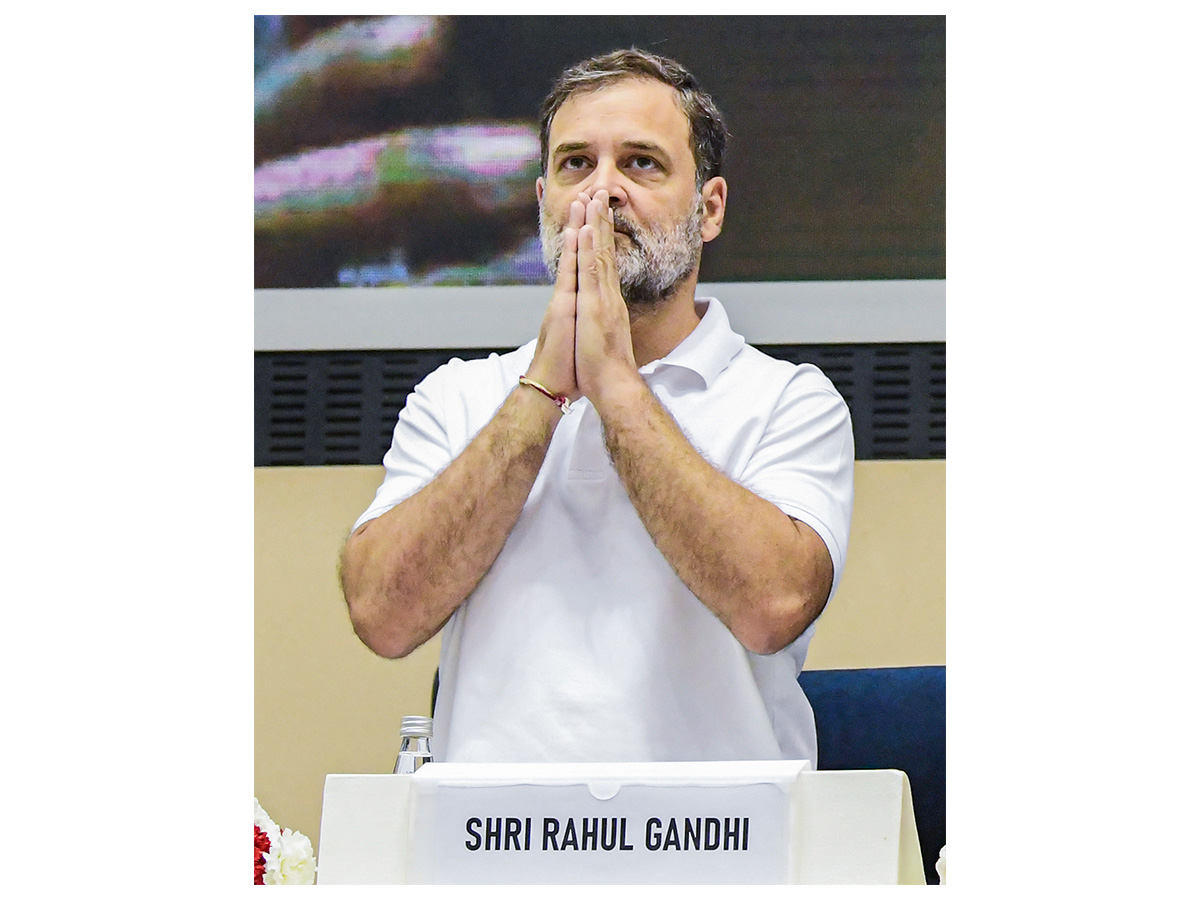 Congress MP Rahul Gandhi (Photo/ANI)
