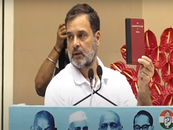 Congress leader Rahul Gandhi (Photo/ANI)