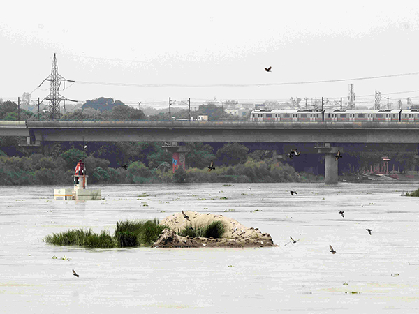 Yamuna River (Photo/ANI)