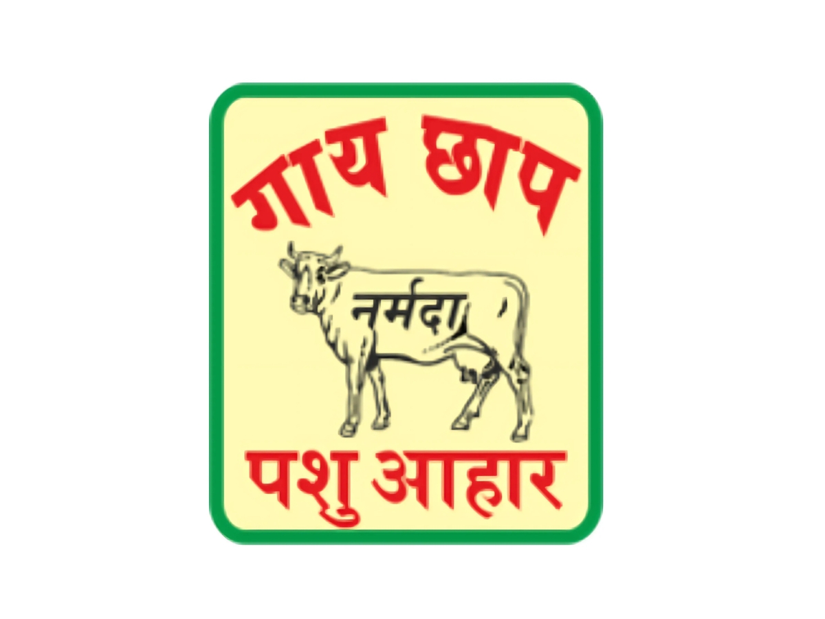 Narmada Agrobase Reports 1140 Bps QoQ Improvement in EBITDA Margin to 14.47% in Q1 FY26