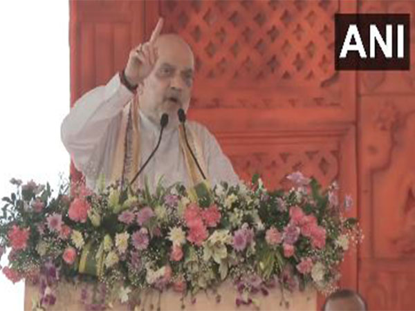 Union Home Minister Amit Shah  (Photo/ANI)